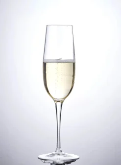 Aero Champagneglas - 6 stk.