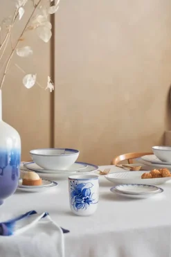 Blue Bird Krus