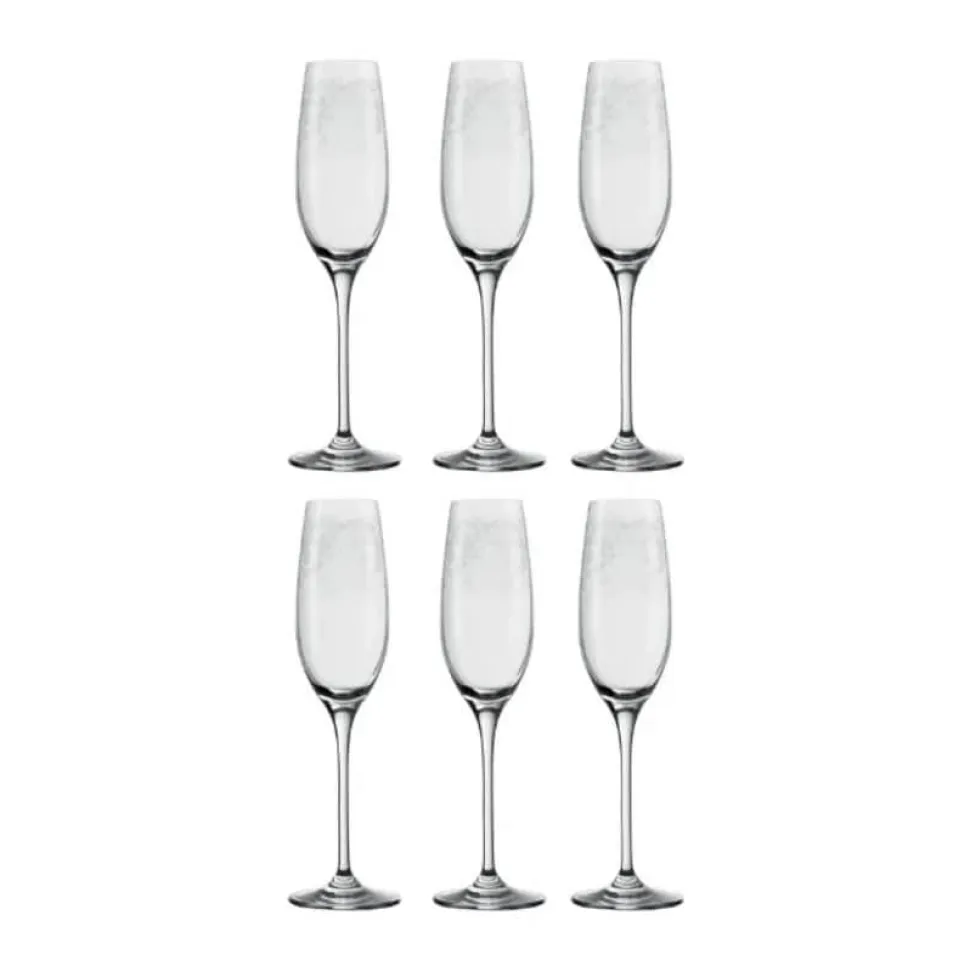 Champagneglas - 6 stk.