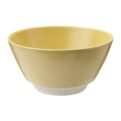 Colorit Skål