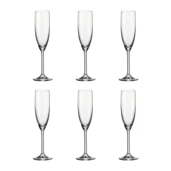 Daily Champagneglas - 6 stk.