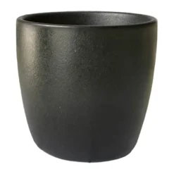 Espressokop