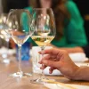 Extreme Riesling Vinglas - 2 stk.