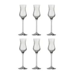 Grappa Glas - 6 stk.