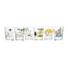 Moomin x Iittala Drikkeglas - Sammen