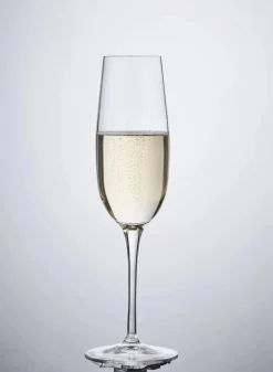 Palace Champagneglas - 6 stk.