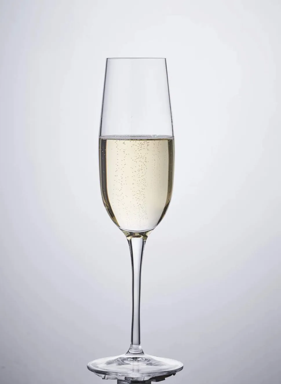 Palace Champagneglas - 6 stk.