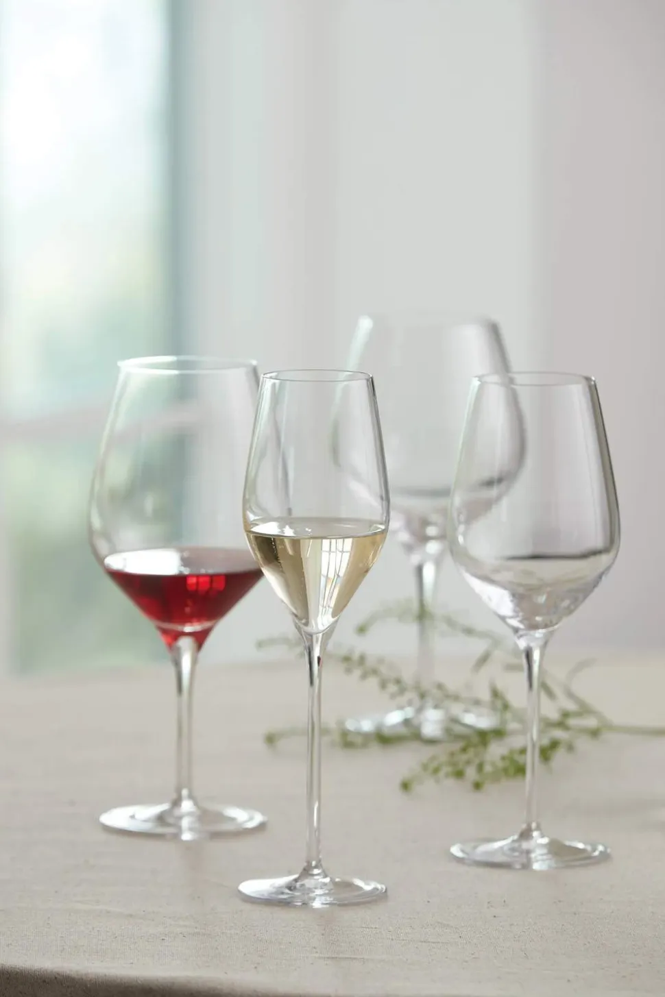Passion Connoisseur Rødvinsglas - 2 stk.