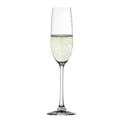 Salute Champagneglas - 4 stk.