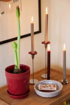 Sten Skål