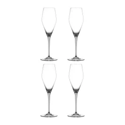ViNova Champagneglas - 4 stk.
